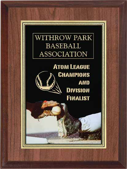 Baseball Full Color Activity Plaque - 6" x 8"