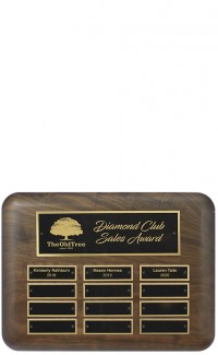 Airflyte Annual Plaque - 9" x 12"