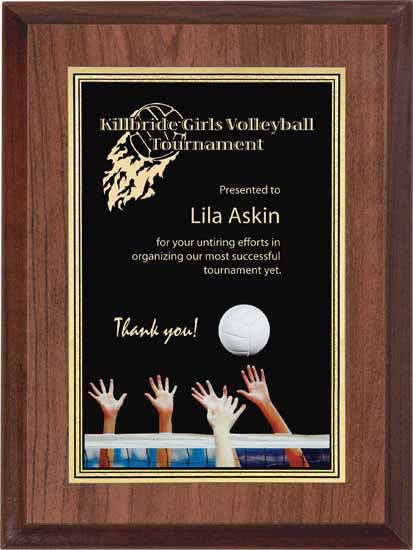 Volleyball Full Color Activity Plaque - 6" x 8" (image for) Volleyball Full Color Activity Plaque - 6" x 8"
