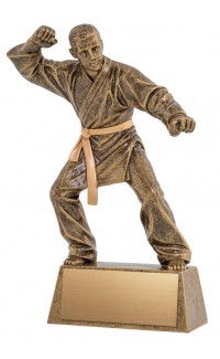 Pinnacle Martial Arts Trophy - 8 1/2" (image for) Pinnacle Martial Arts Trophy - 8 1/2"