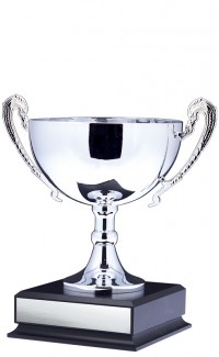 EC6123 - 11" (image for) EC6123 - 11"