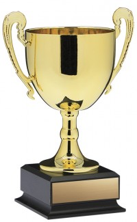 EC6345 - 10.5" (image for) EC6345 - 10.5"