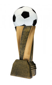 (image for) Tower Series Soccer Award - 10"