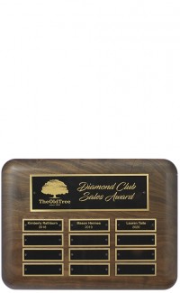 Airflyte Annual Plaque - 11" x 15" (image for) Airflyte Annual Plaque - 11" x 15"